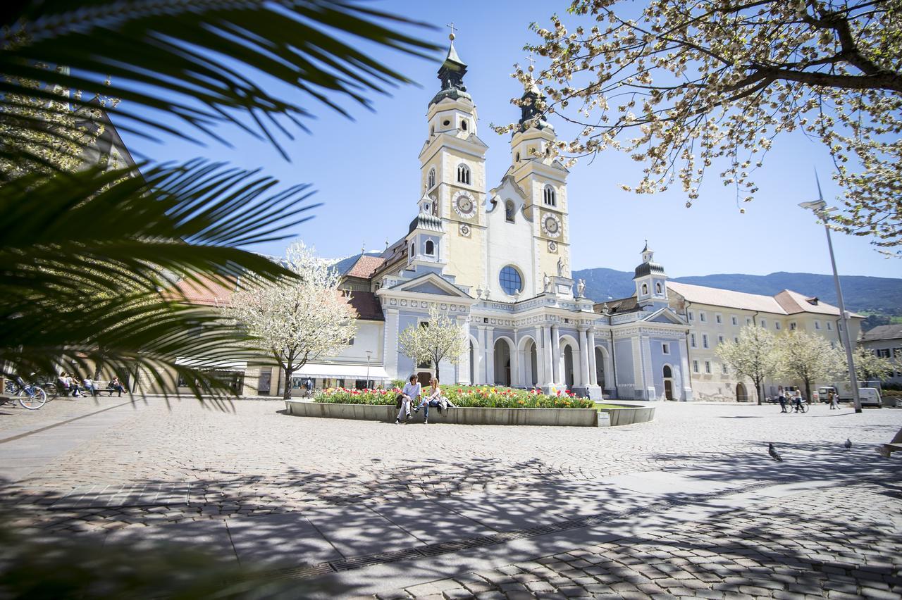 My Arbor - Dolomites Bressanone Exterior foto The Cathedral of the Assumption of the Virgin Mary